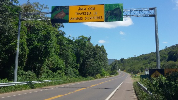 A foto mostra o trecho da rodovia ERS-486, conhecida como Rota do Sol, em que está instalado um pórtico com uma placa dizendo "Área de travessia de animais silvestres".