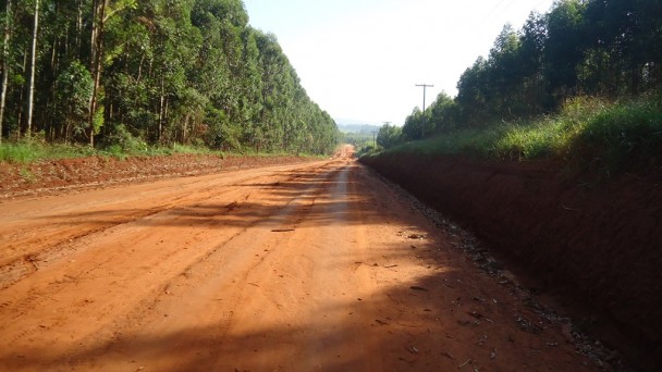 A foto mostra uma estrada de chão em trecho reto, com árvores e vegetação às margens.