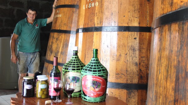 Na foto, o produtor de vinhos Martinho Dallarosa aparece de pé, apoiando o braço em uma das pipas de madeira da sua cantina colonial. À frente, uma pequena mesa onde estão reunidos garrafões de vinho, taças e conservas