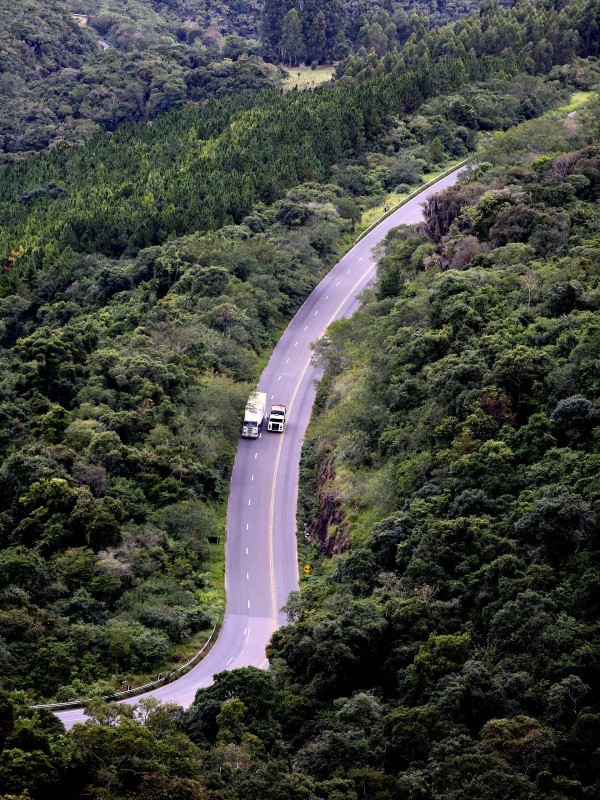 imagem da rodovia Rota do Sol (RSC-453/ERS-486), cercada pela mata.