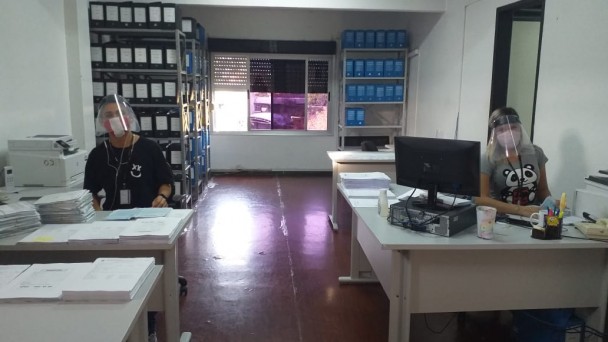 Estagiários da equipe estão sentados em suas mesas de trabalho utilizando máscaras para prevenir a disseminação do coronavírus