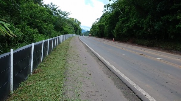 A foto mostra uma estrada pavimentada com ampla vegetação dos dois lados. Na parte esquerda pode-se notar uma cerca preta e branca que faz parte das obras. 