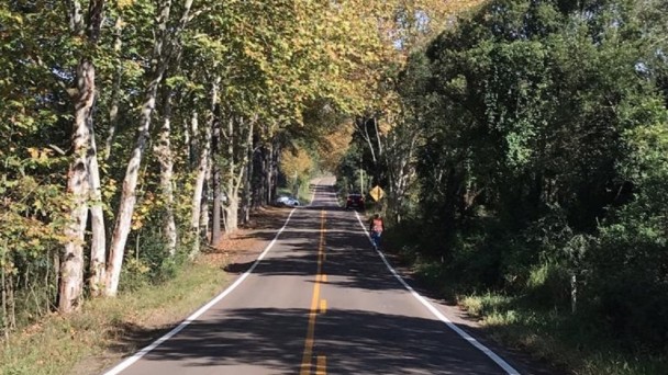 Na foto está a VRS-851 pavimentada. A rodovia tem um corredor de árvores que ocupa boa parte da imagem.