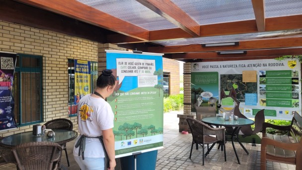 Banners alertando sobre os danos da compra antecipada do pinhão estão sendo expostos em diversos locais da região da Rota do Sol